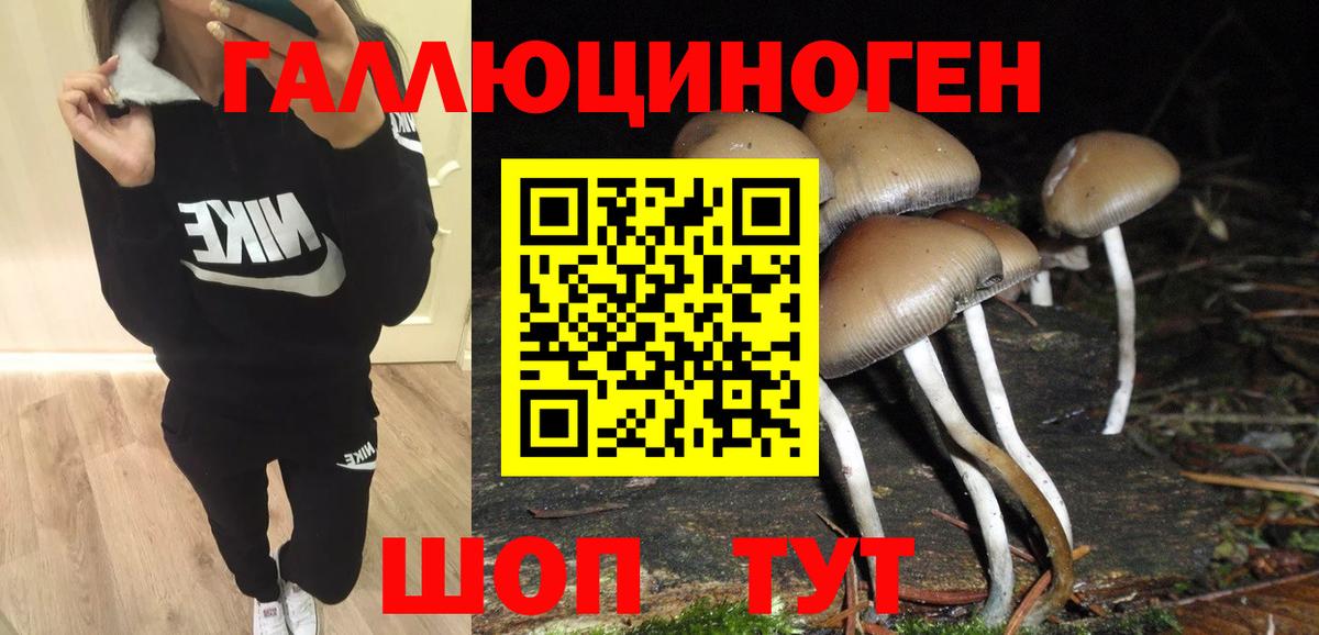 Галлюциногенные грибы ЛСД Кимры
