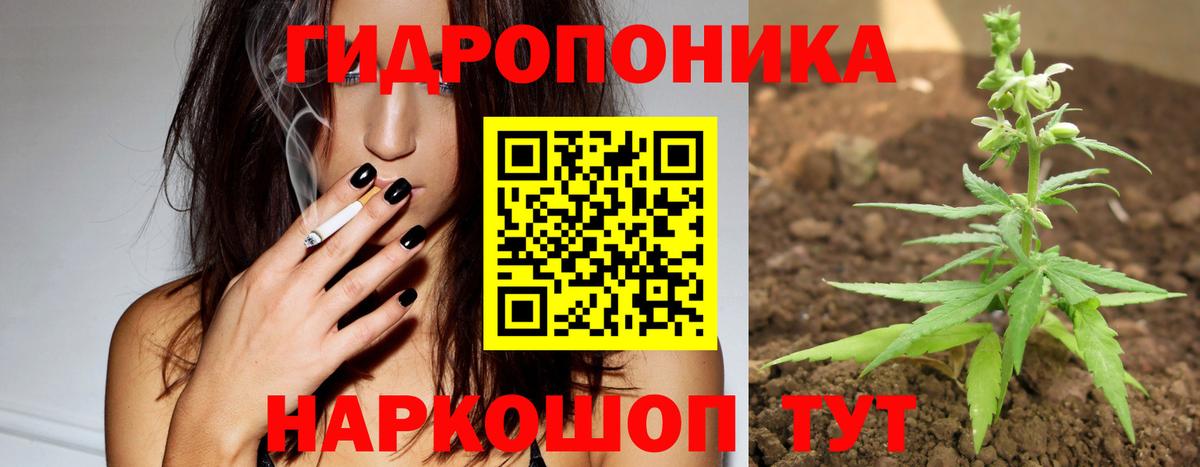 Кимры  Канабис Amnesia  Бошки Шишки AK-47  Вход с VPN  Конопля индика 